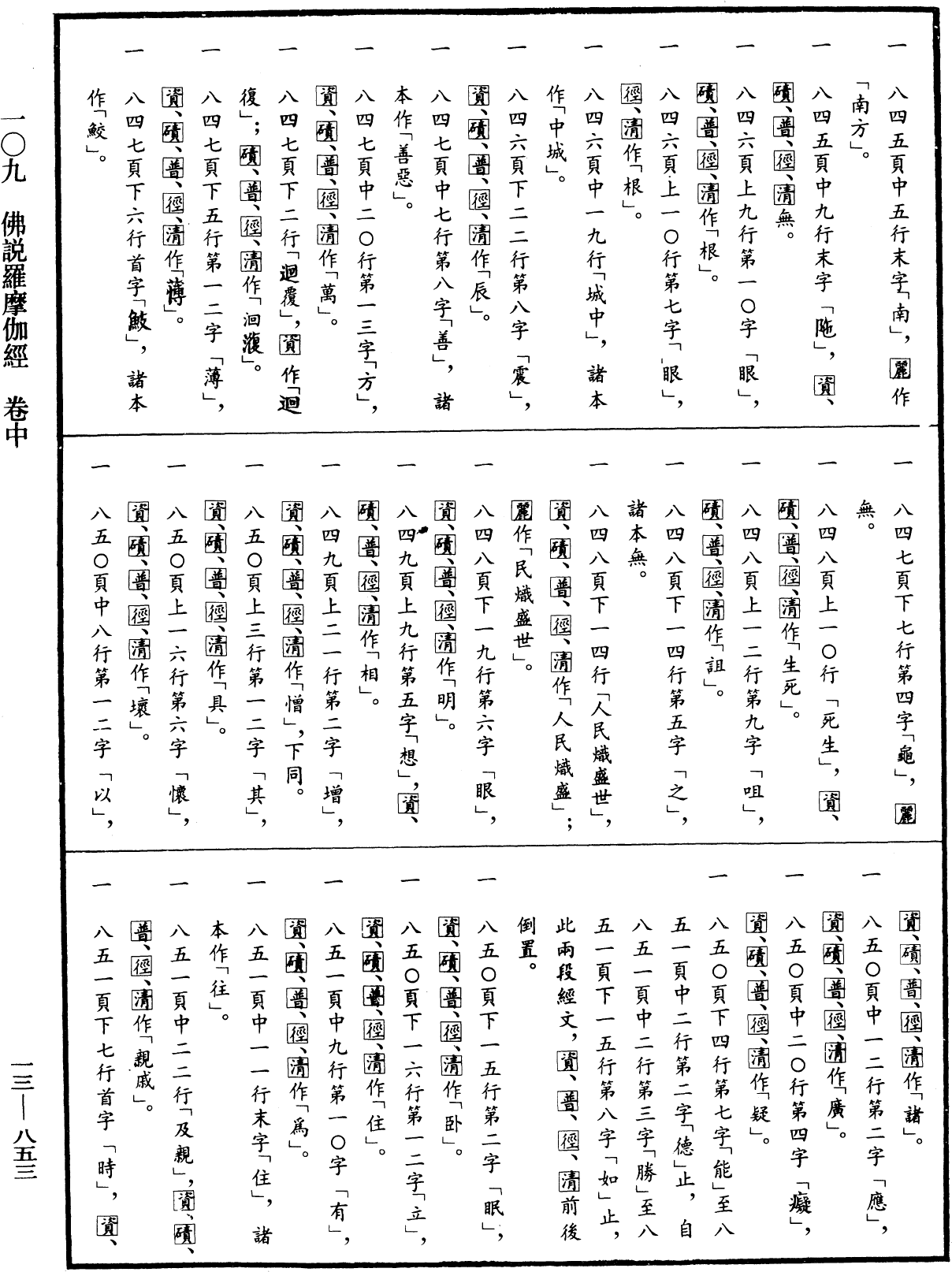 File:《中華大藏經》 第13冊 第853頁.png