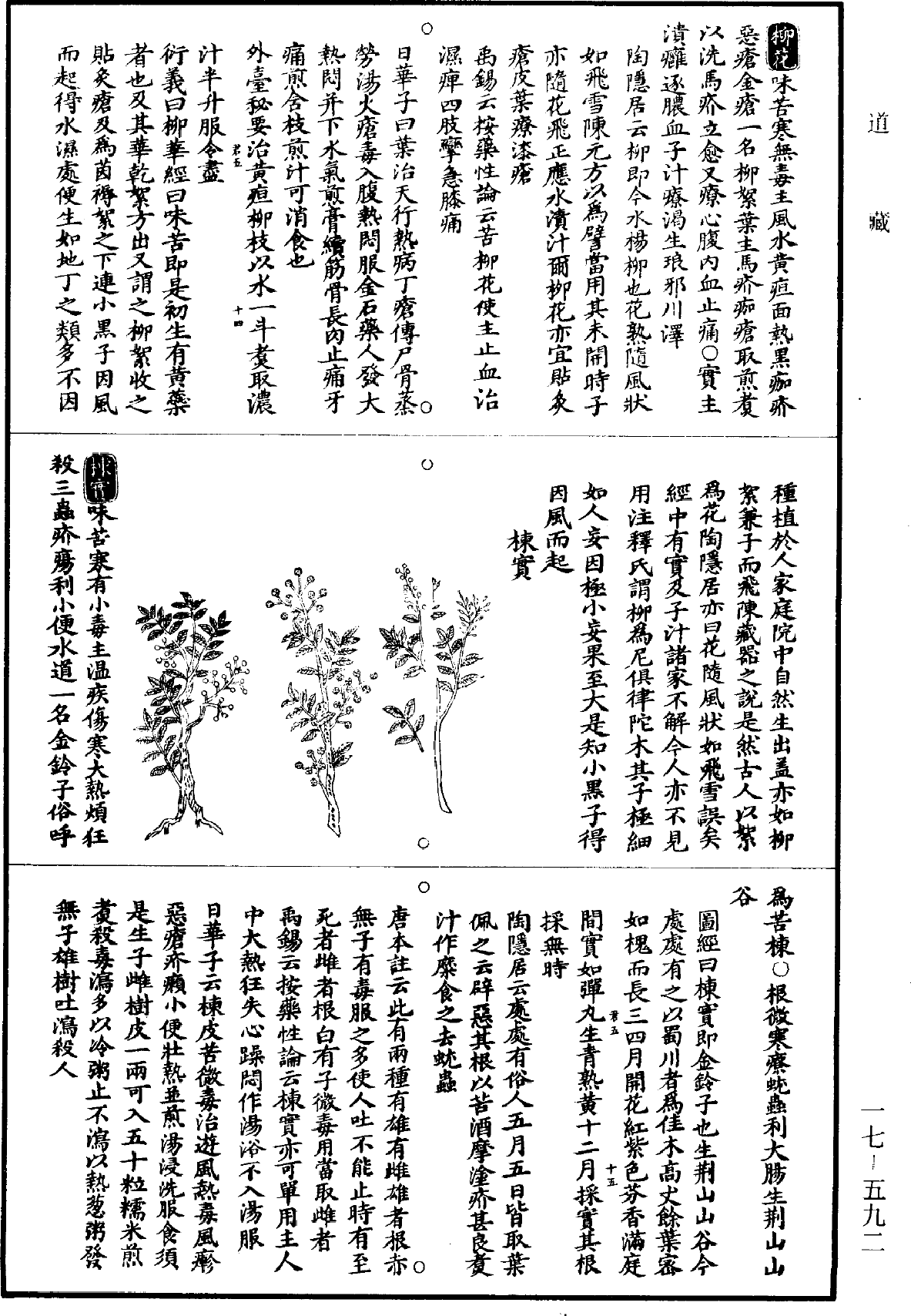 File:《道藏》第17冊 第592頁.png