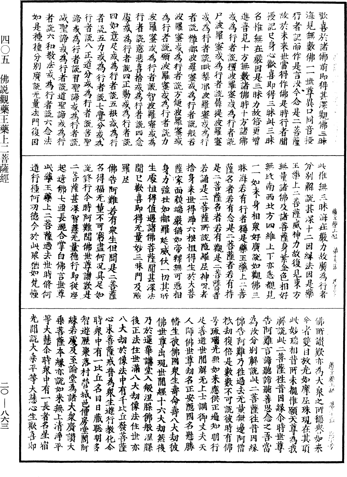 File:《中華大藏經》 第20冊 第0863頁.png