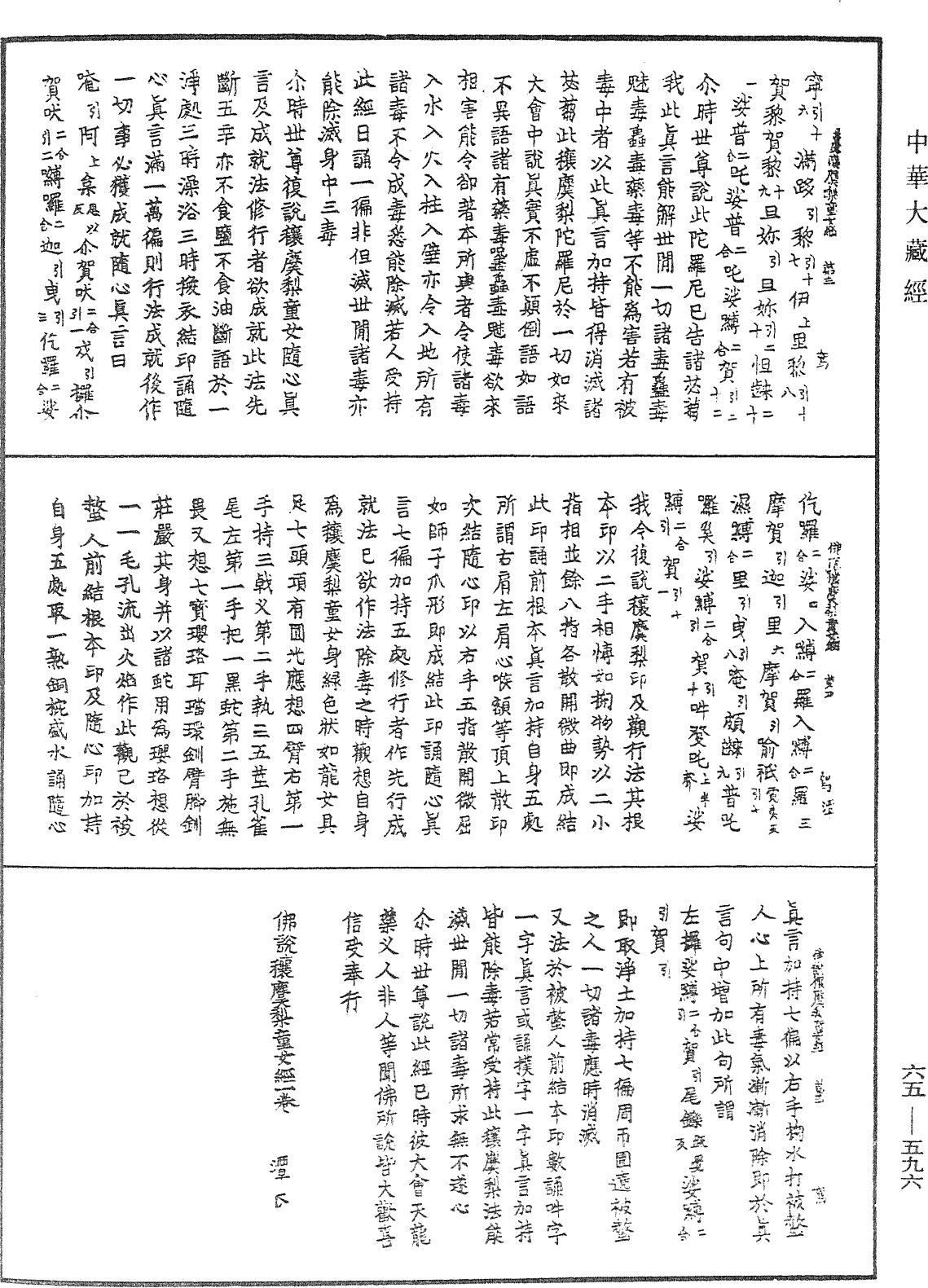 File:《中華大藏經》 第65冊 第0596頁.png