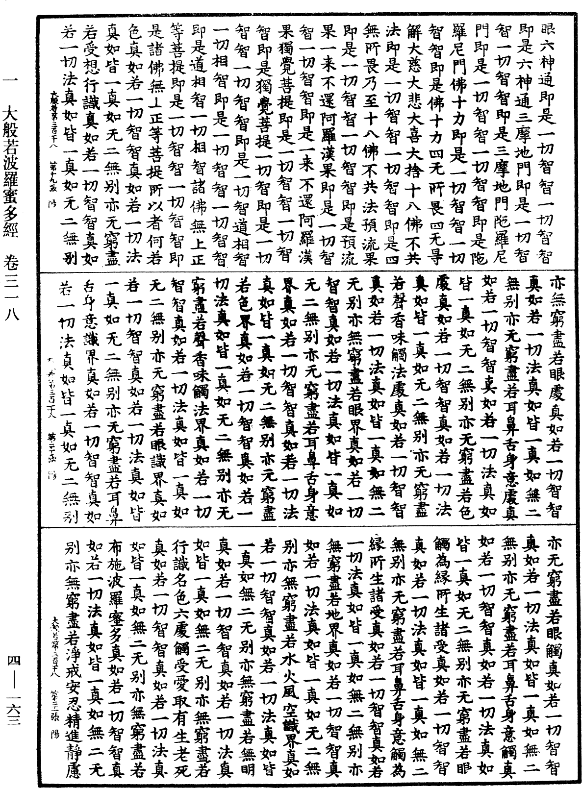 File:《中華大藏經》 第4冊 第163頁.png