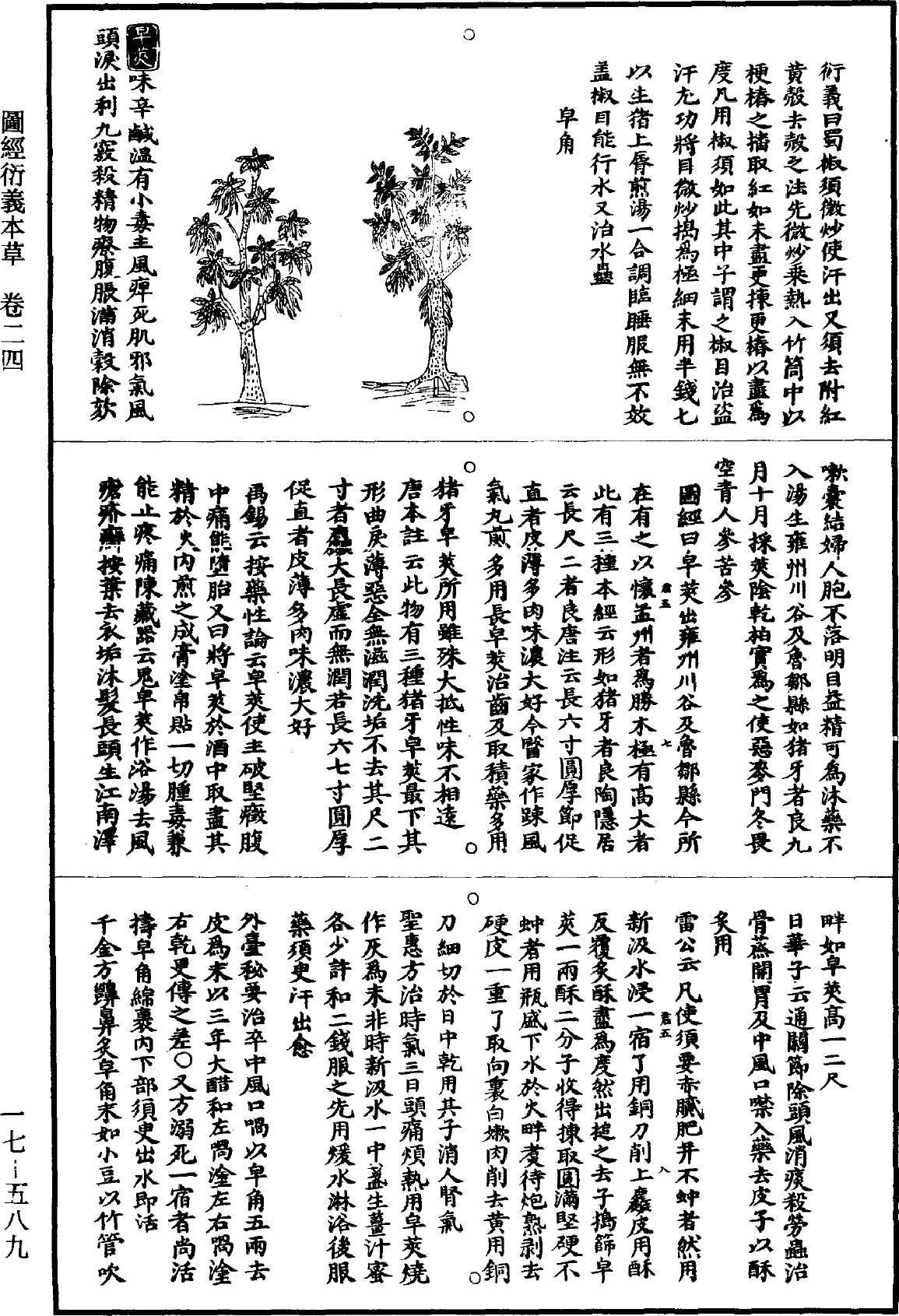 图经衍义本草《道藏》第17册_第589页