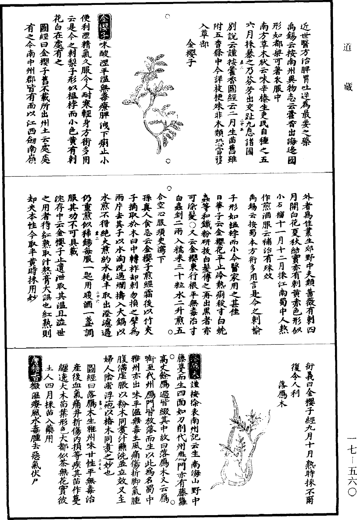 图经衍义本草《道藏》第17册_第560页