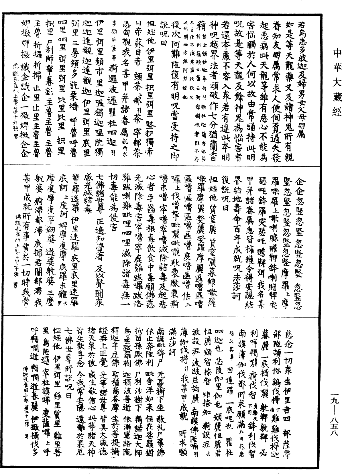 File:《中華大藏經》 第19冊 第858頁.png