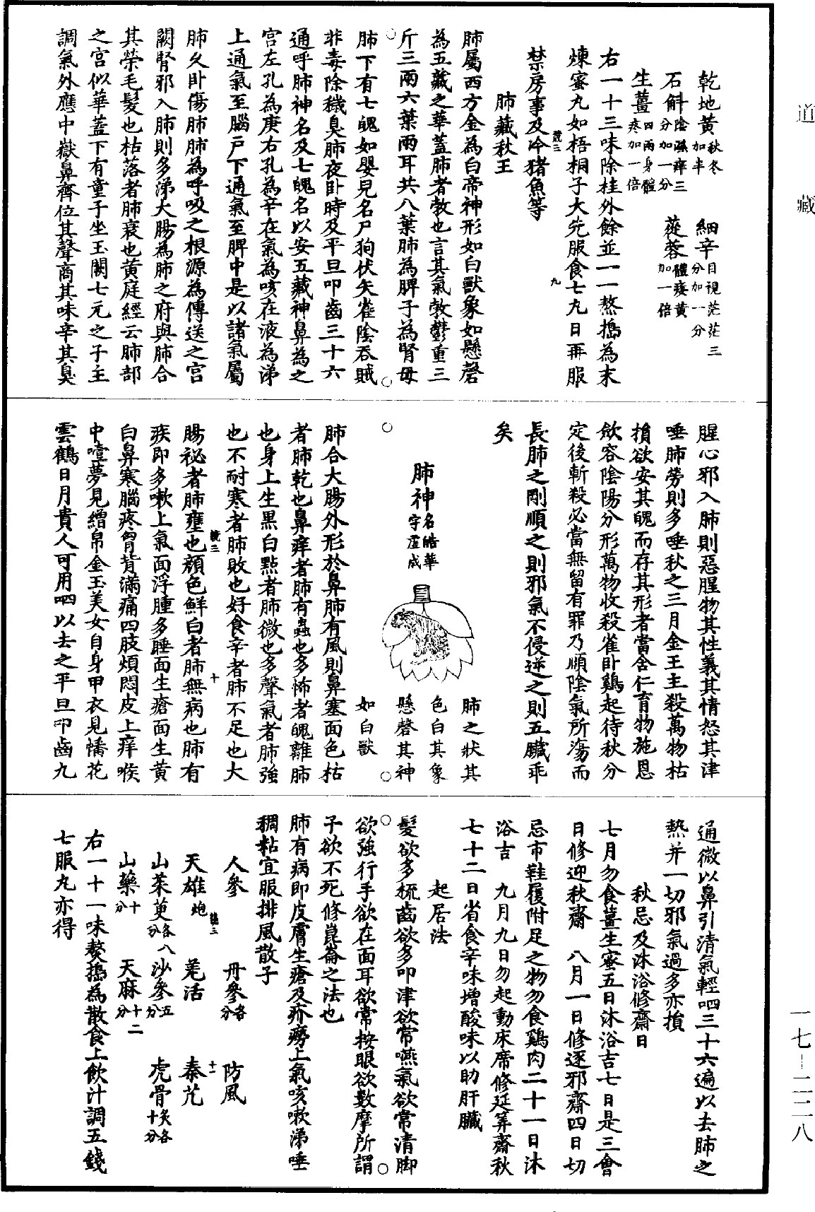 File:《道藏》第17冊 第228頁.png