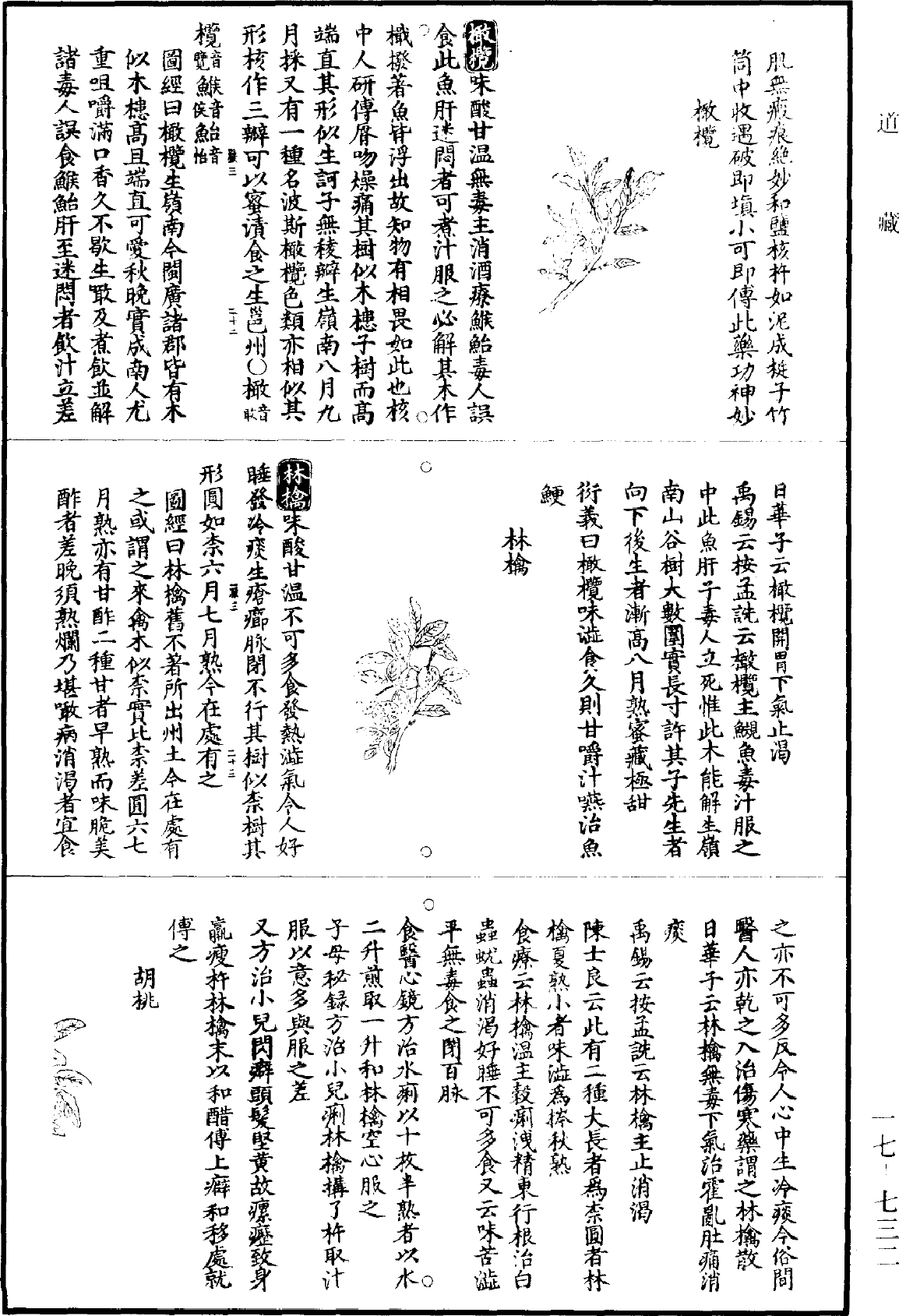 圖經衍義本草《道藏》第17冊_第732頁