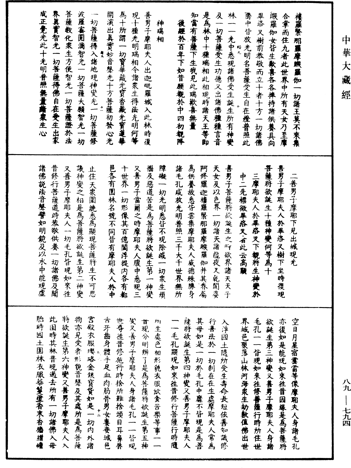 File:《中華大藏經》 第89冊 第794頁.png