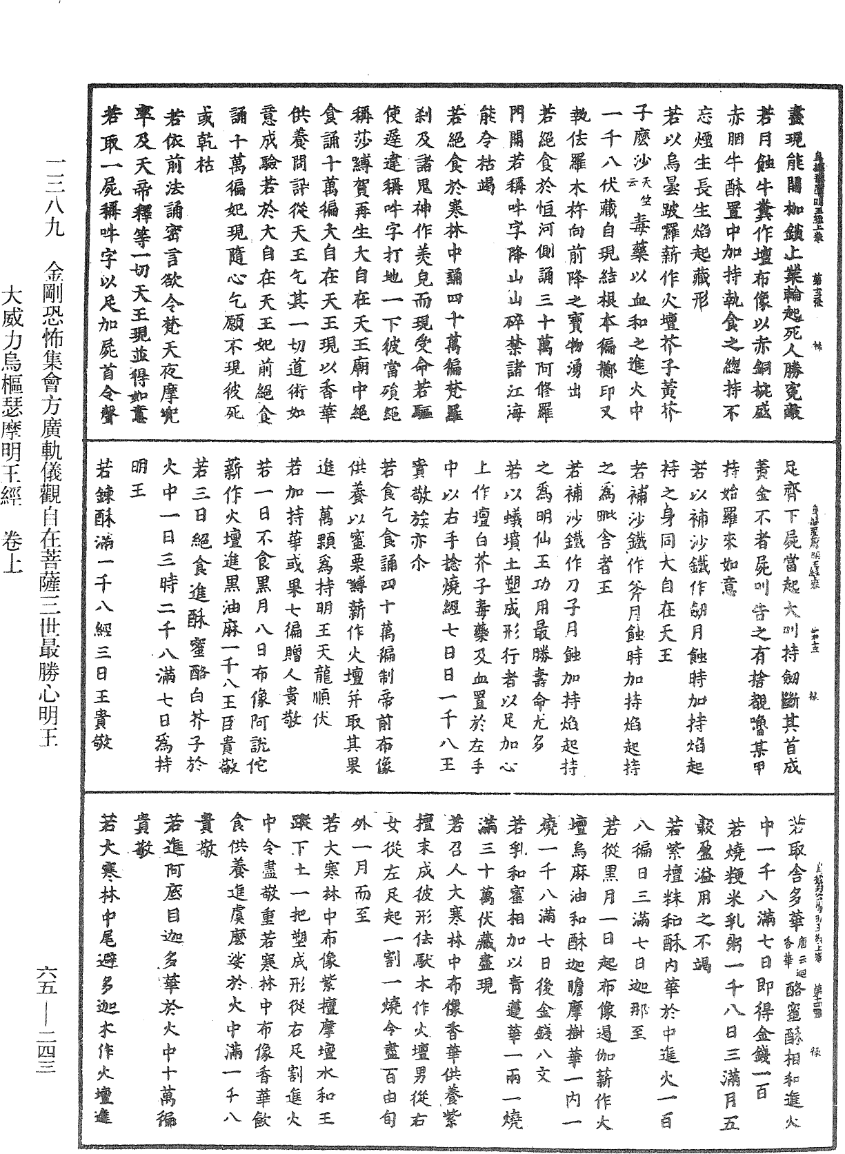 金剛恐怖集會方廣軌儀觀自在菩薩三世最勝心明王大威力烏樞瑟摩明王經《中華大藏經》_第65冊_第0243頁