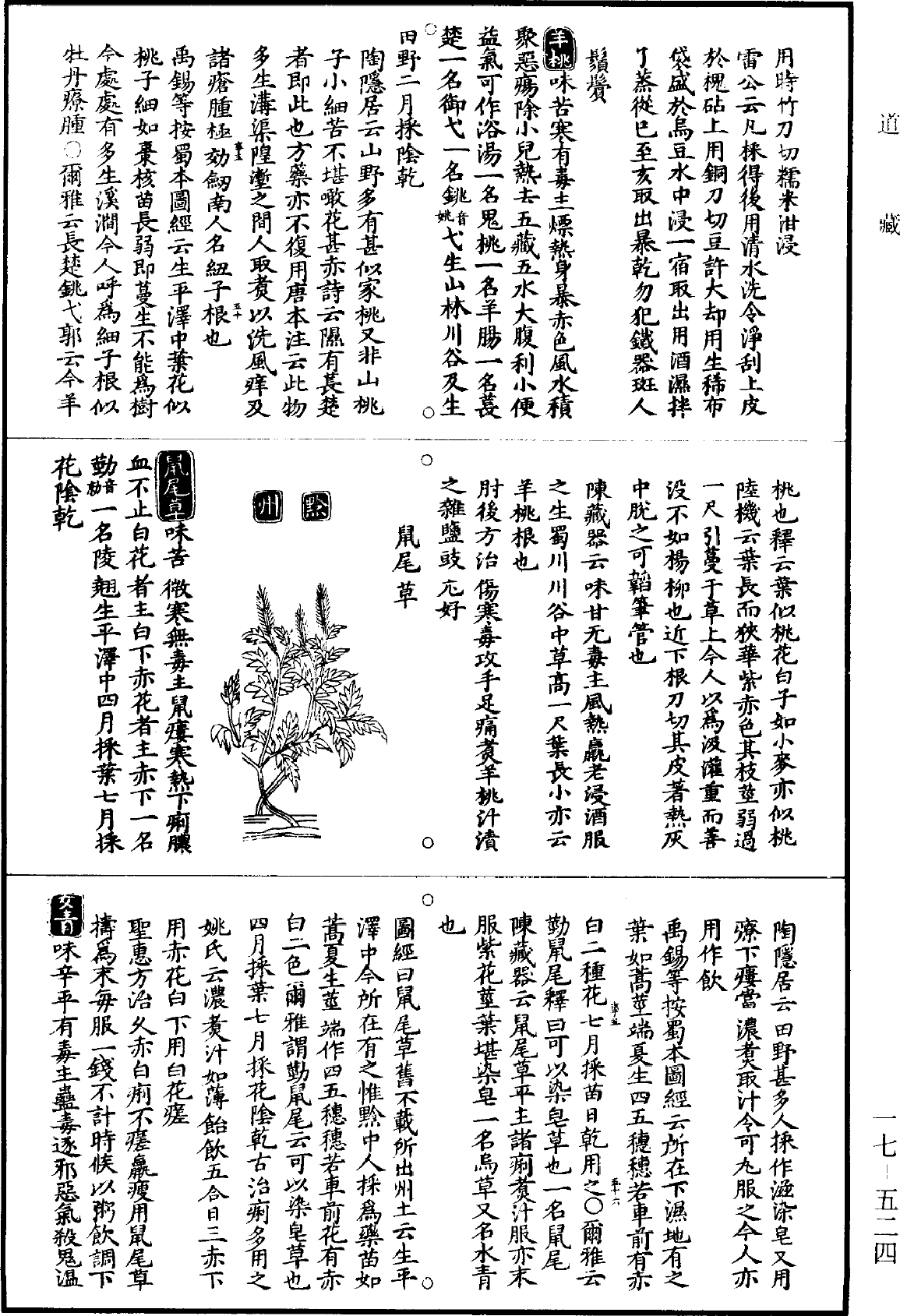 File:《道藏》第17冊 第524頁.png