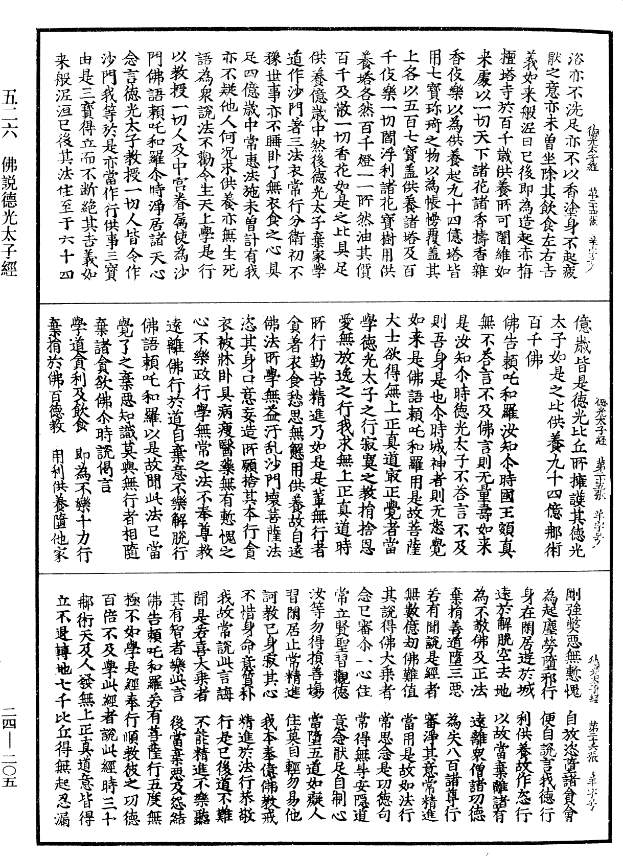 File:《中華大藏經》 第24冊 第205頁.png