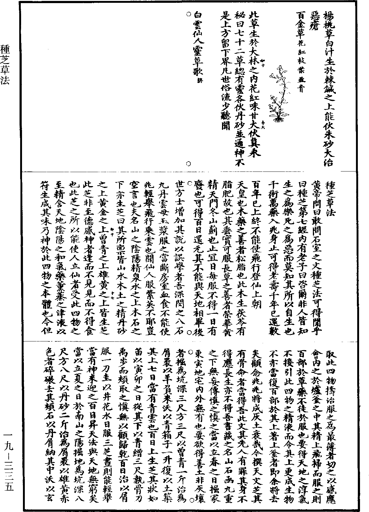 File:《道藏》第19冊 第335頁.png