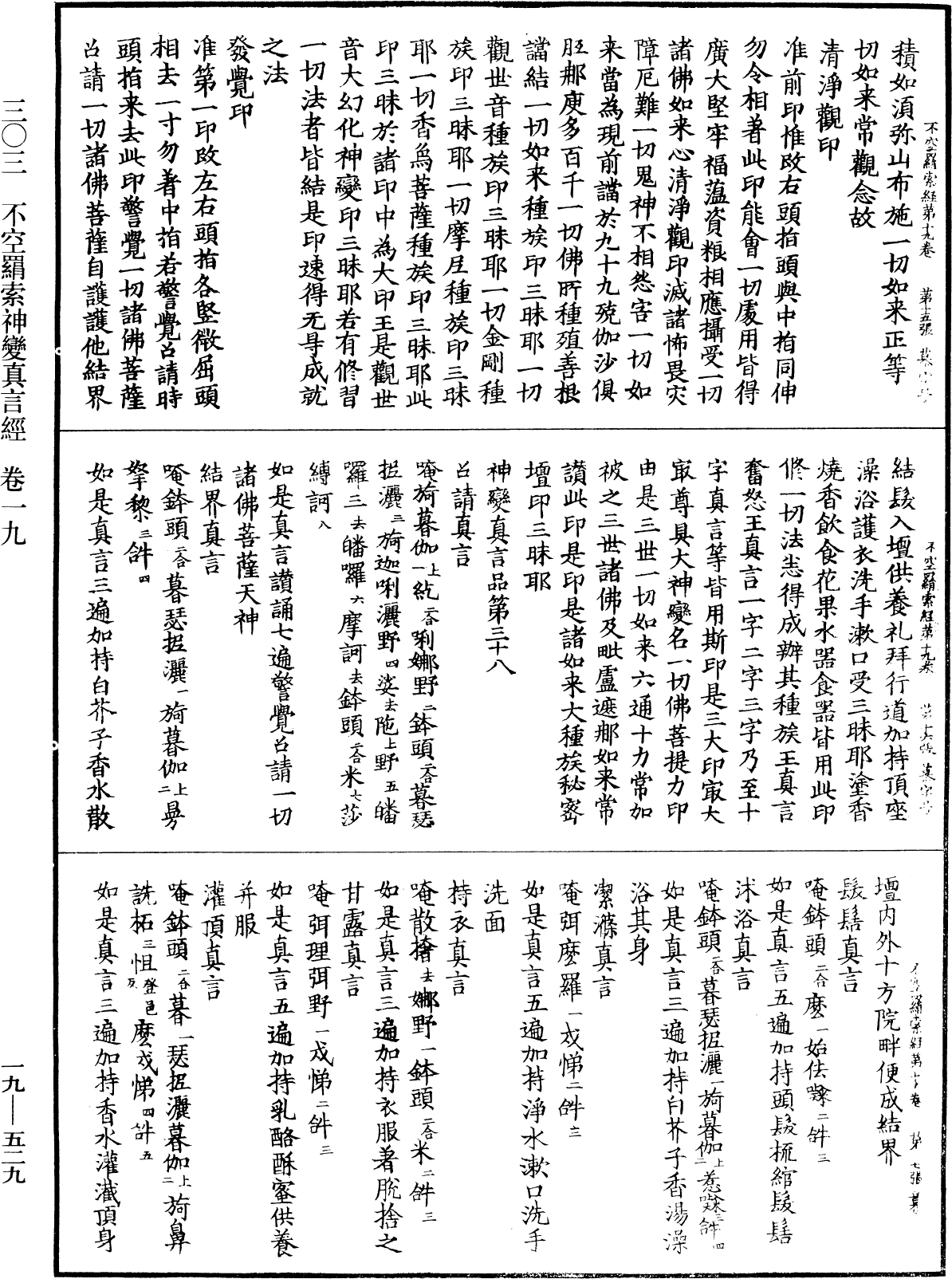 File:《中華大藏經》 第19冊 第529頁.png