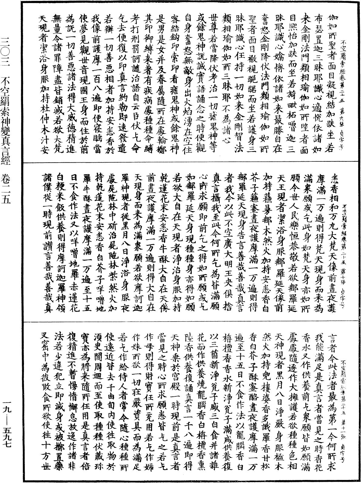 File:《中華大藏經》 第19冊 第597頁.png