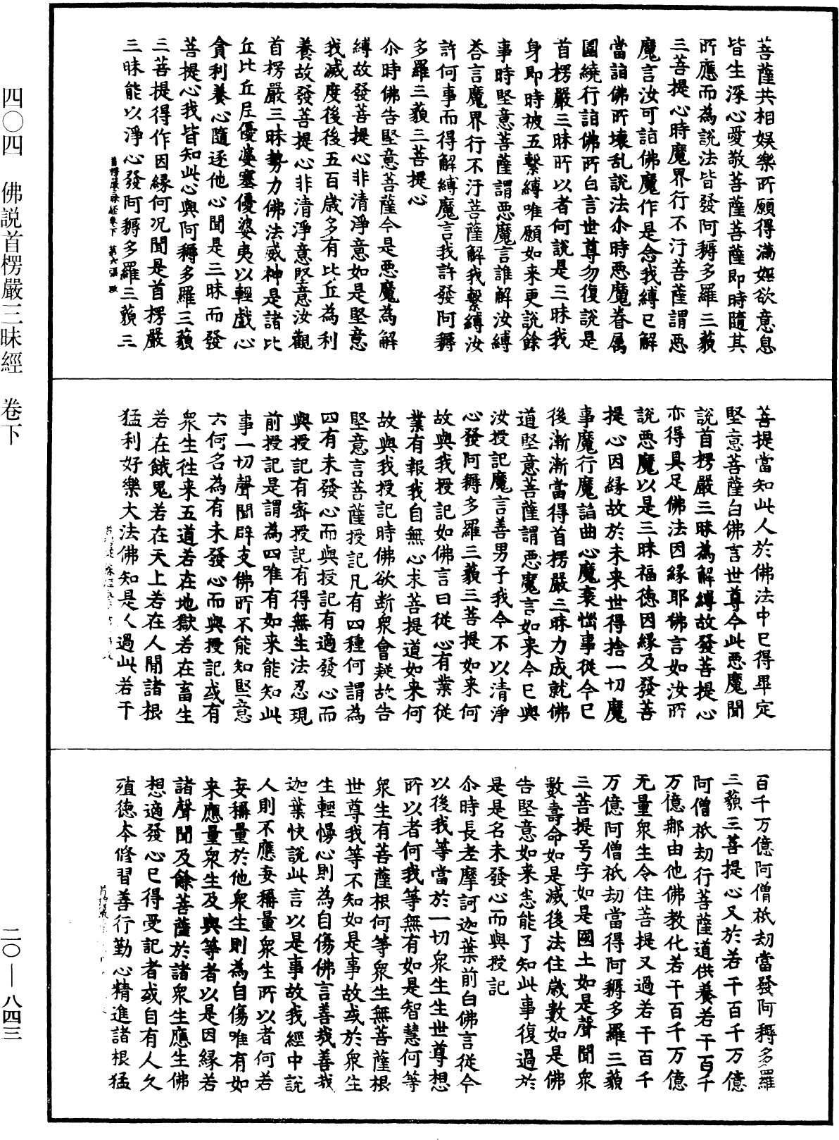 File:《中華大藏經》 第20冊 第0843頁.png
