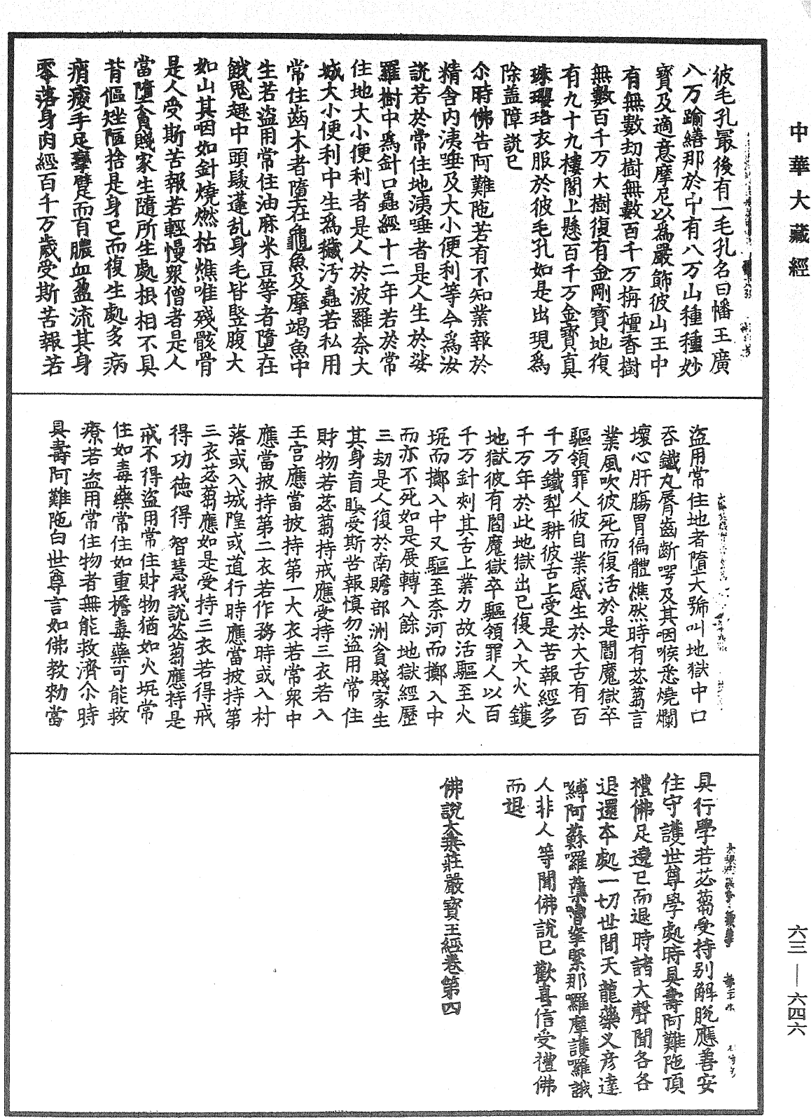 佛說大乘莊嚴寶王經《中華大藏經》_第63冊_第0646頁