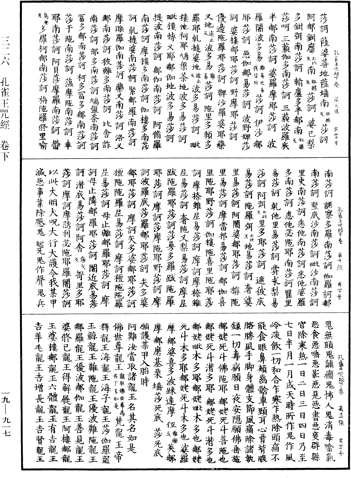 File:《中華大藏經》 第19冊 第917頁.png