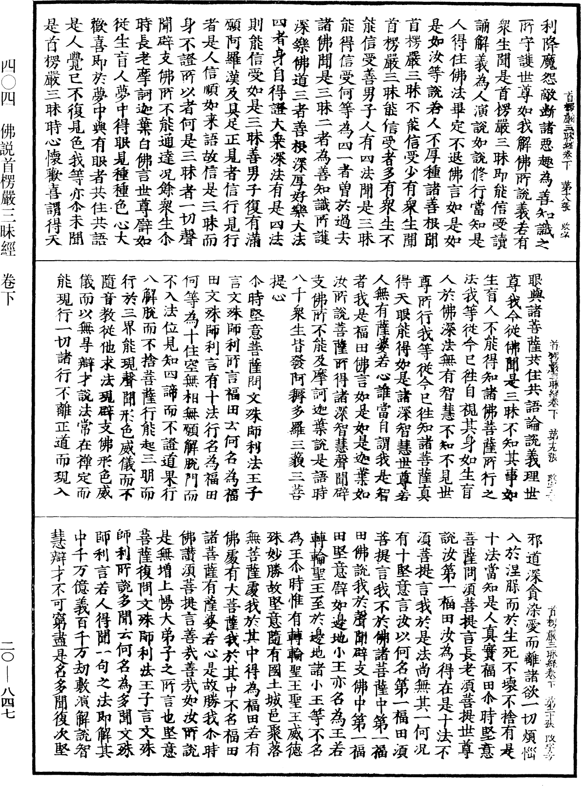File:《中華大藏經》 第20冊 第0847頁.png