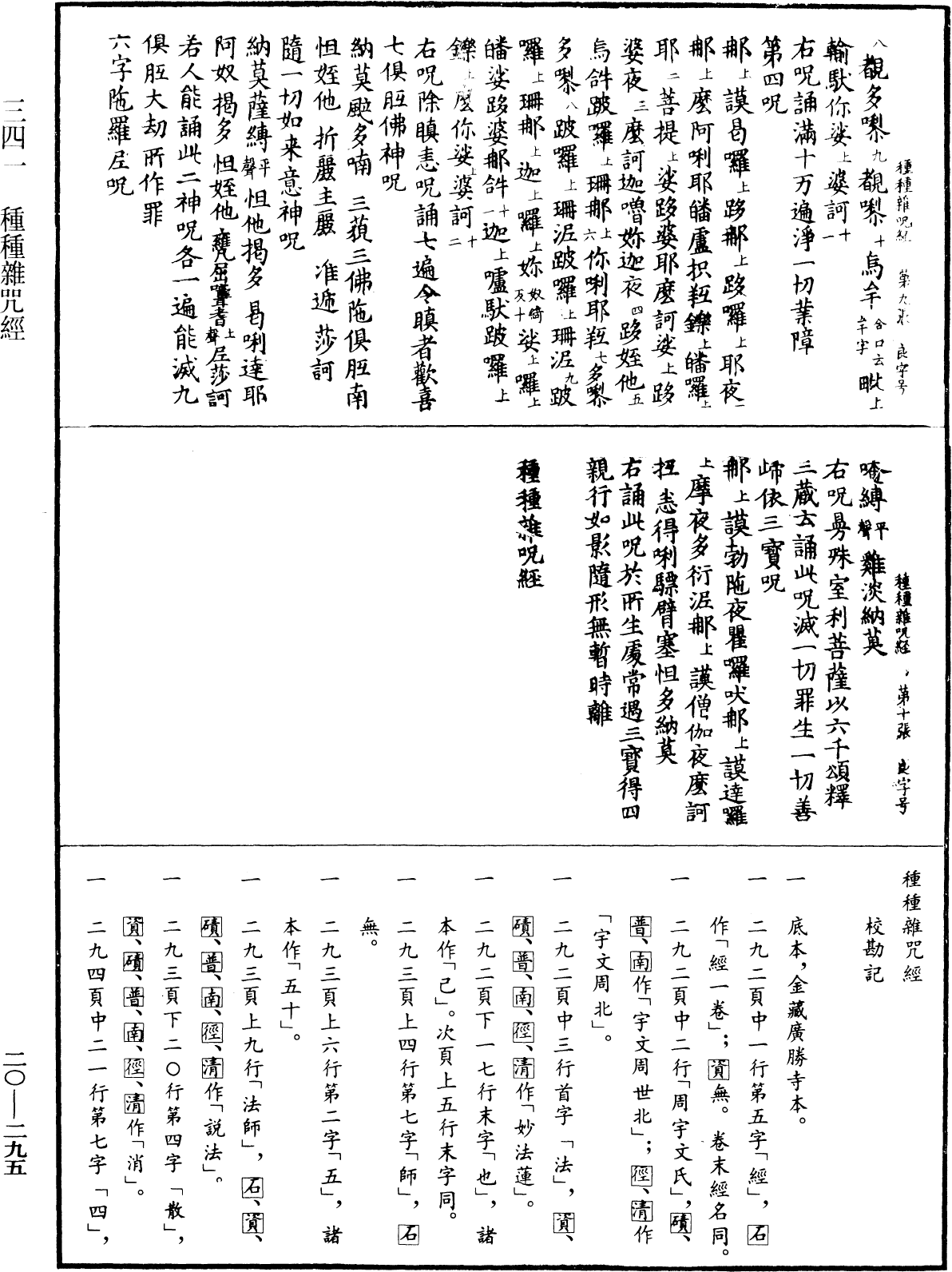 File:《中華大藏經》 第20冊 第0295頁.png