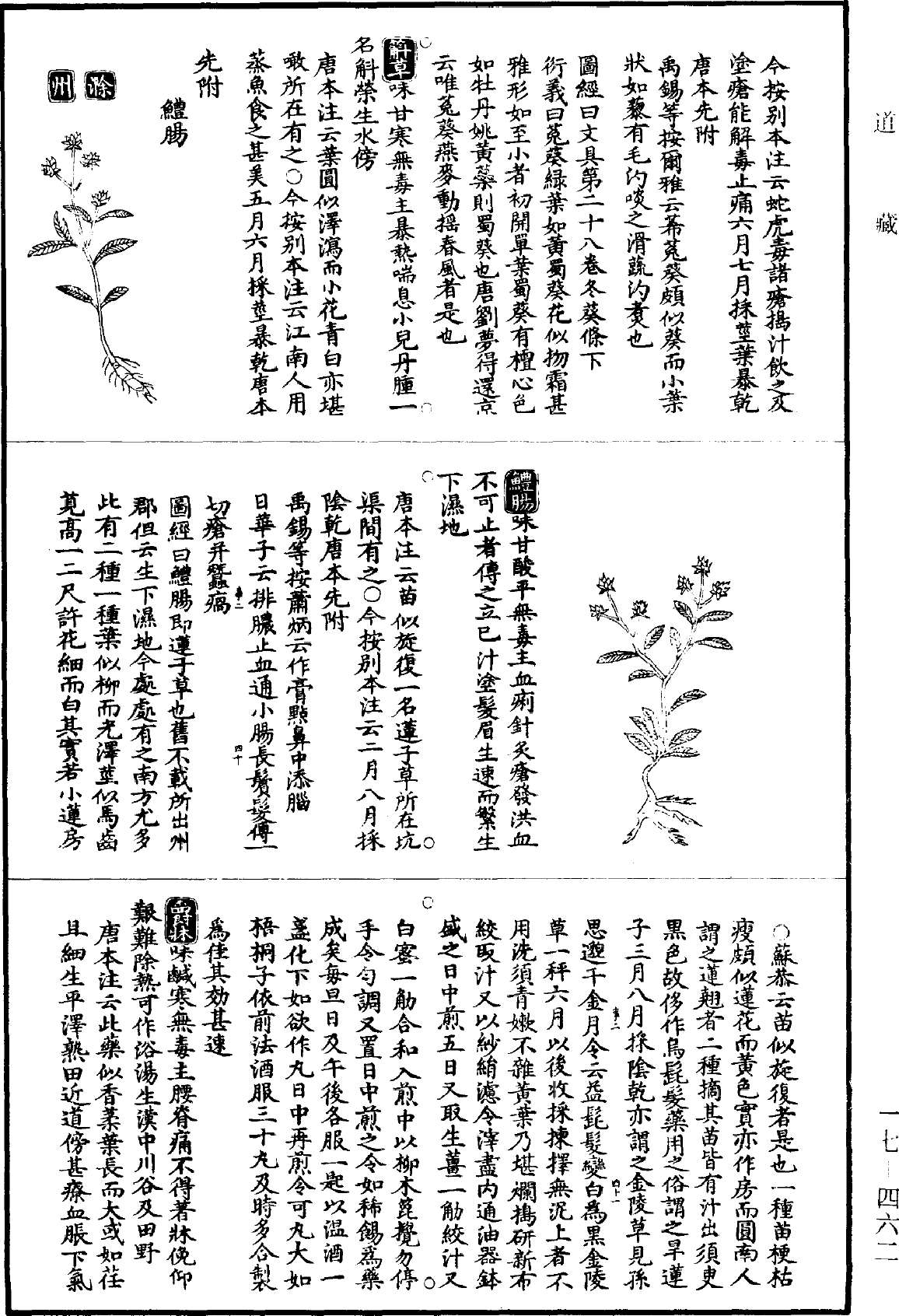 图经衍义本草《道藏》第17册_第462页