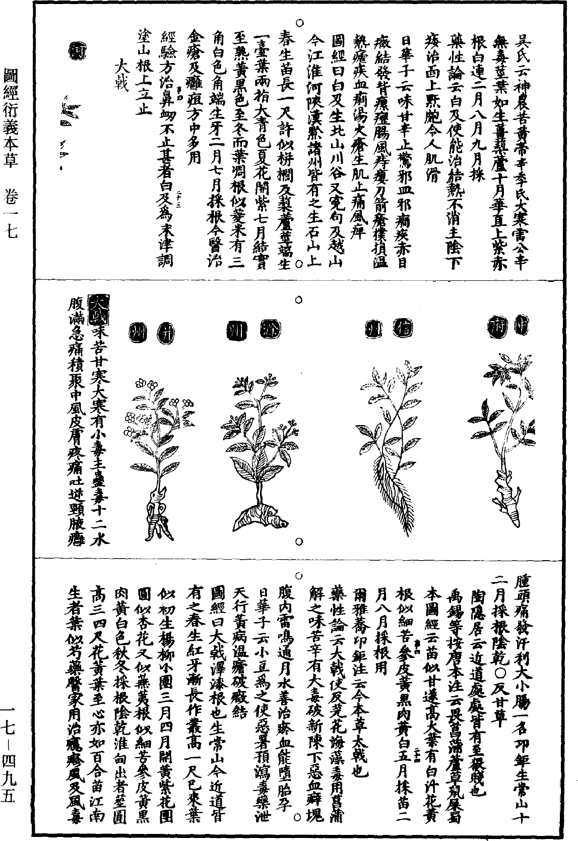 圖經衍義本草《道藏》第17冊_第495頁