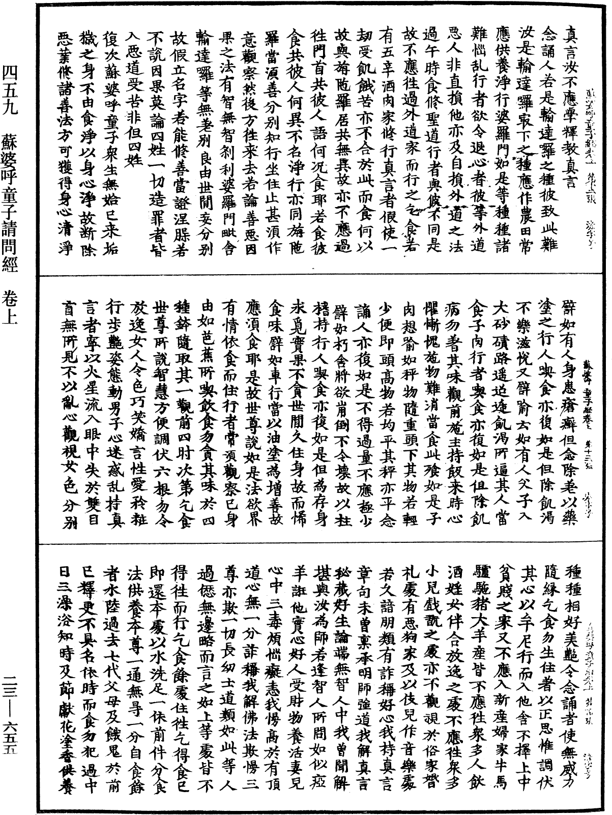 File:《中華大藏經》 第23冊 第655頁.png