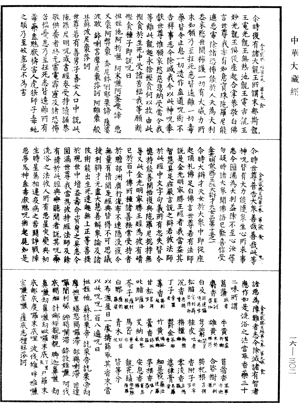 File:《中華大藏經》 第16冊 第302頁.png