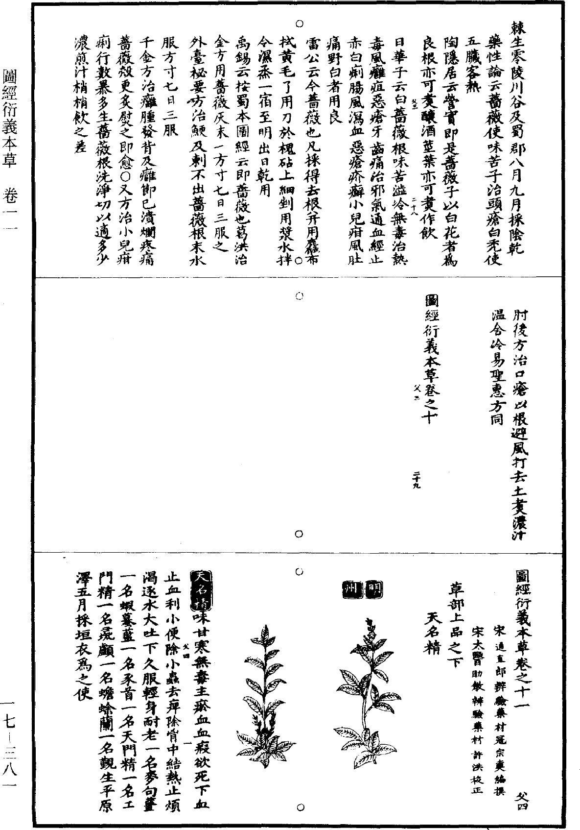 圖經衍義本草《道藏》第17冊_第381頁