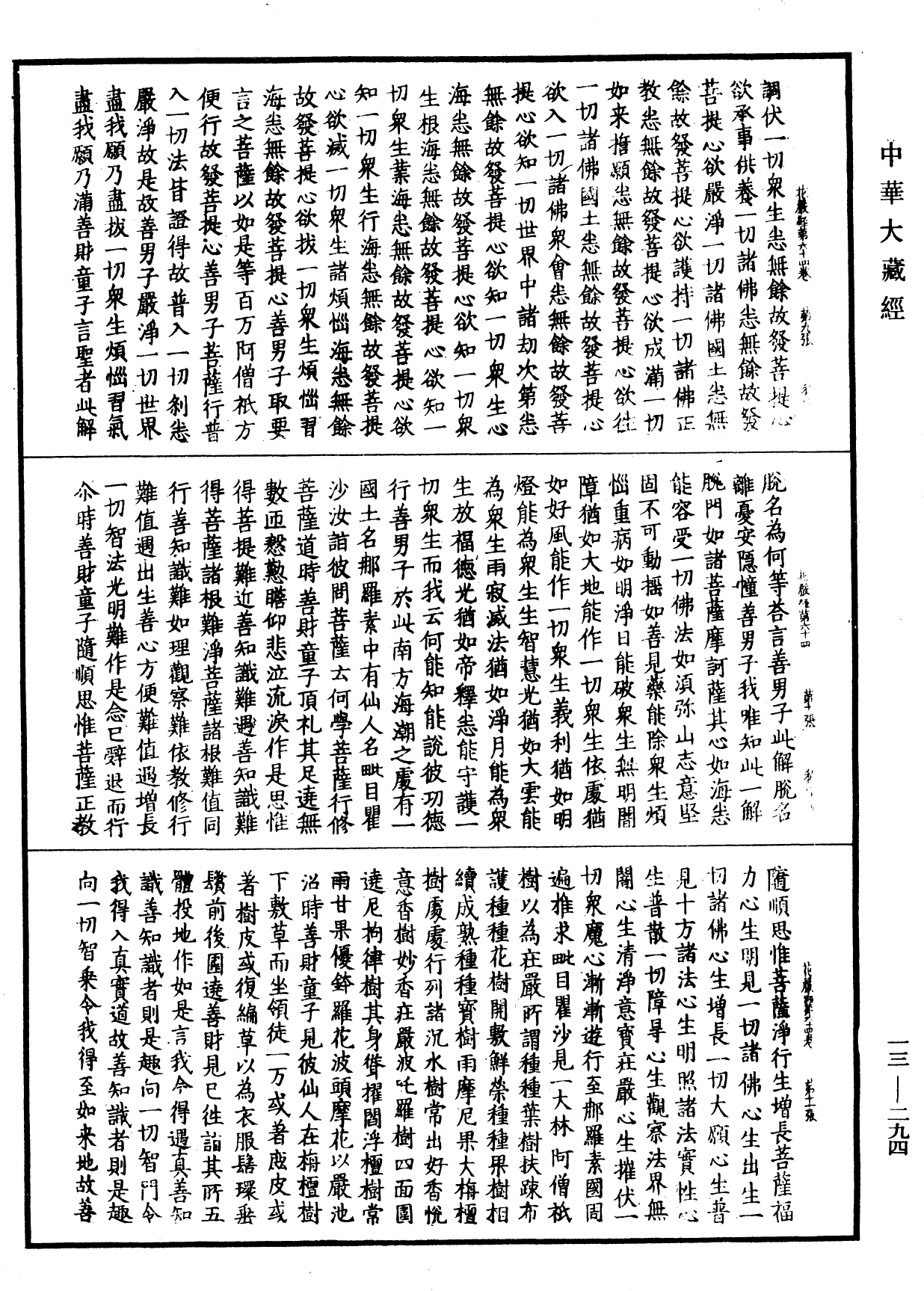 File:《中華大藏經》 第13冊 第294頁.png