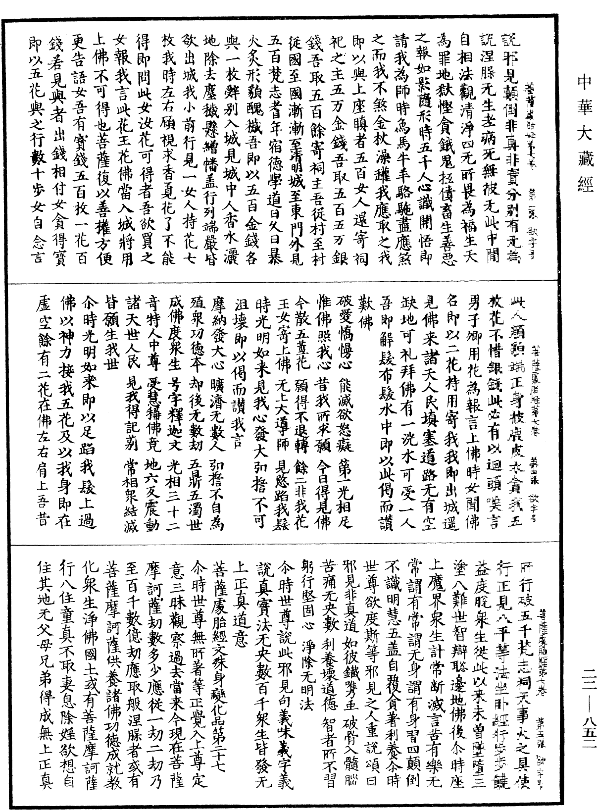 File:《中華大藏經》 第22冊 第852頁.png