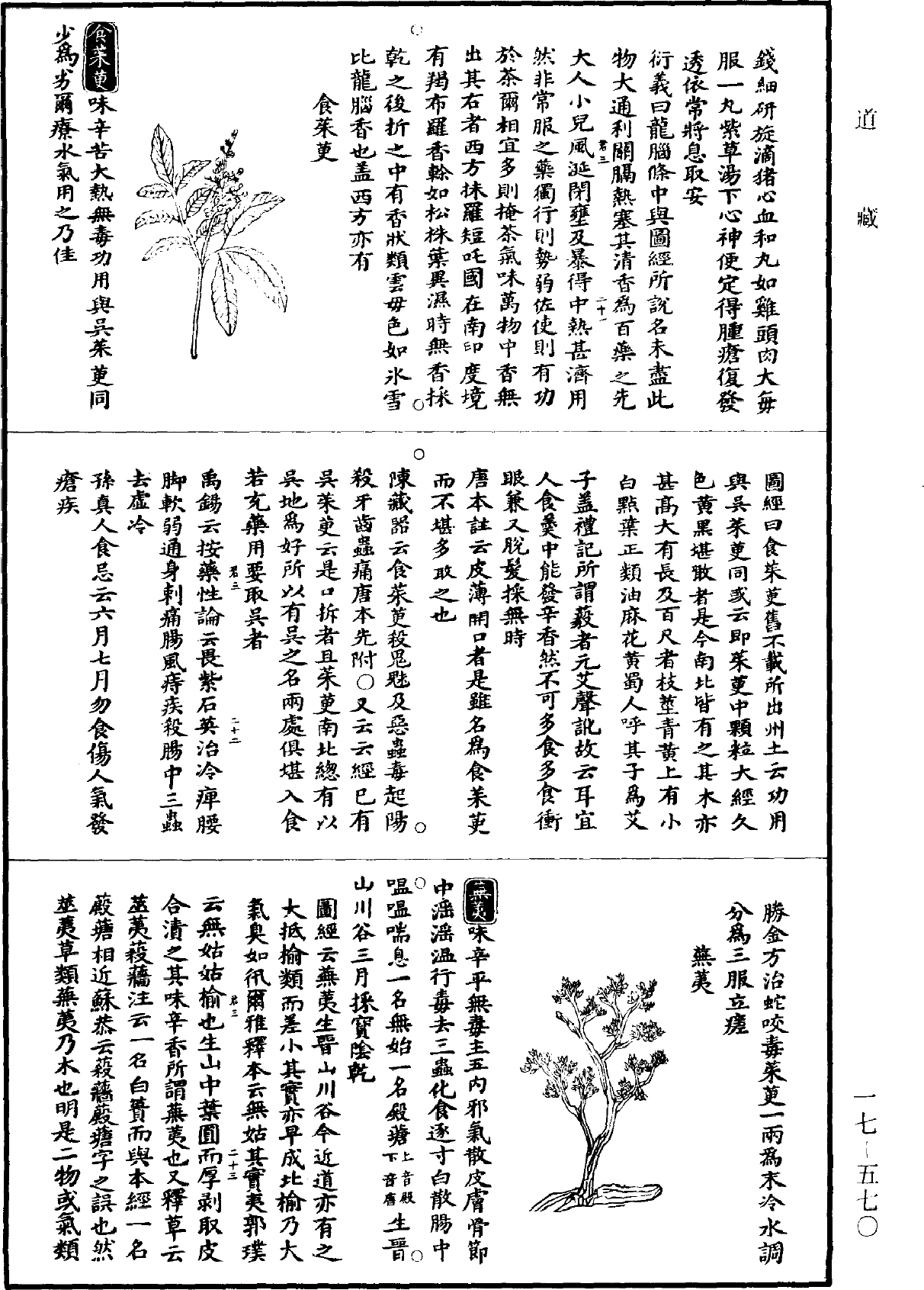 图经衍义本草《道藏》第17册_第570页