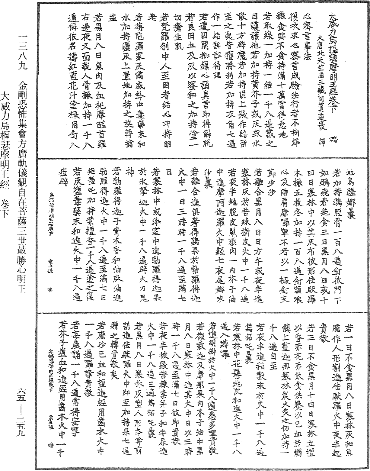 File:《中華大藏經》 第65冊 第0259頁.png