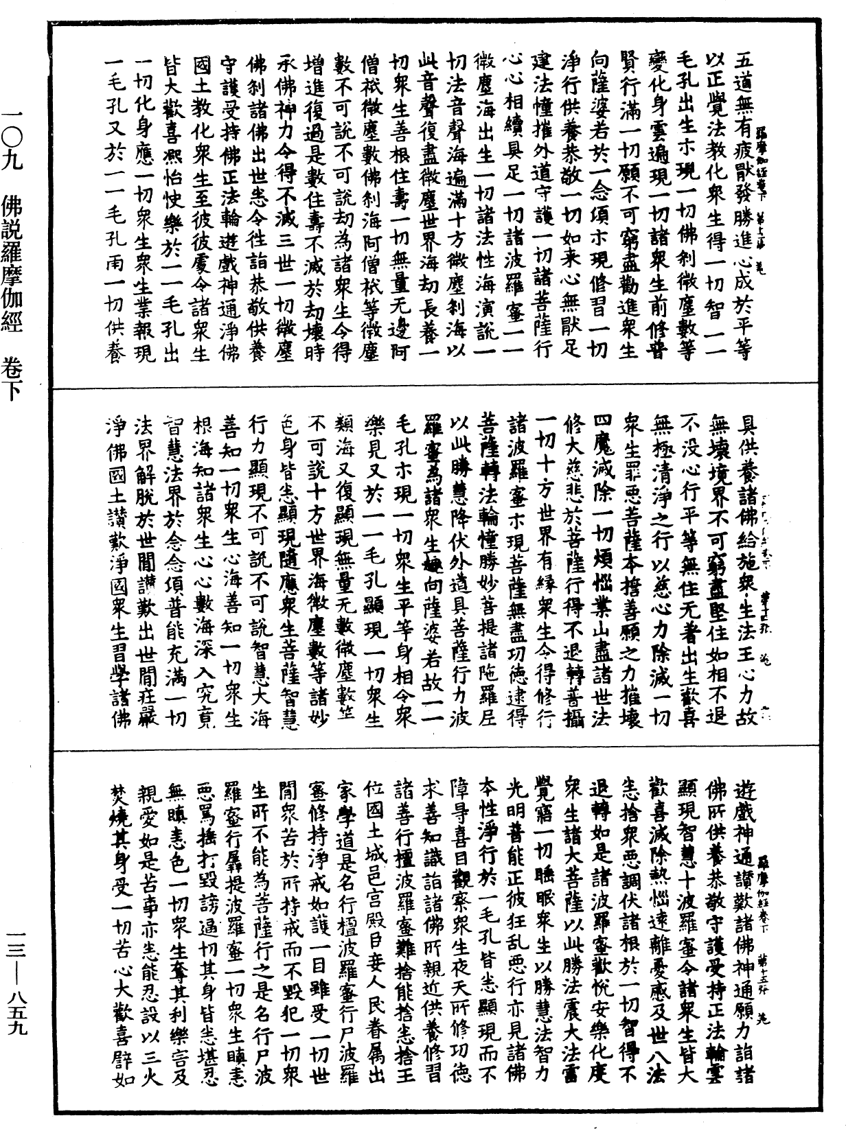 File:《中華大藏經》 第13冊 第859頁.png