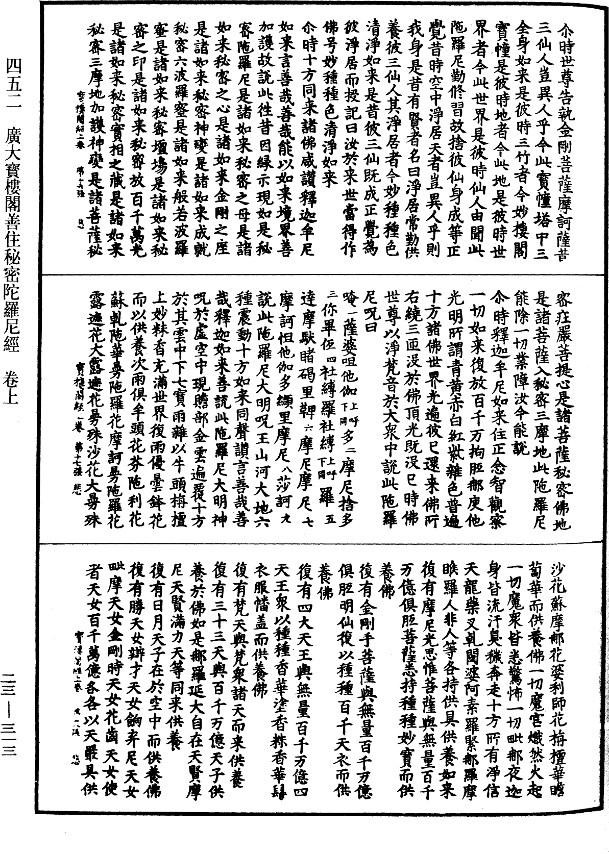 File:《中華大藏經》 第23冊 第313頁.png