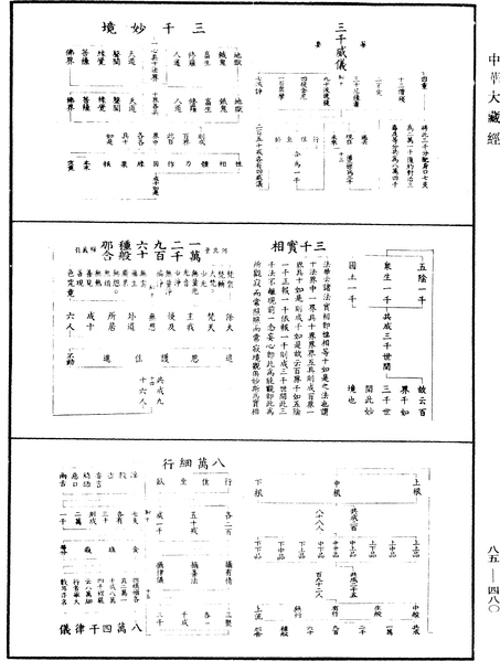 File:《中華大藏經》 第85冊 第0480頁.png