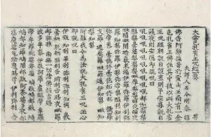 高麗藏K0305 大金色孔雀王呪經 1卷.djvu