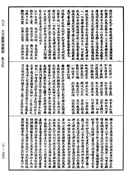 File:《中華大藏經》 第13冊 第393頁.png