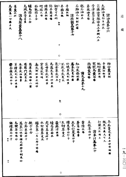 File:《道藏》第19冊 第302頁.png