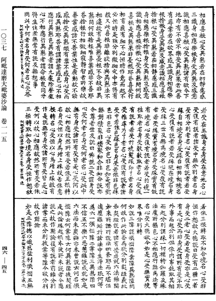 File:《中華大藏經》 第46冊 第0045頁.png