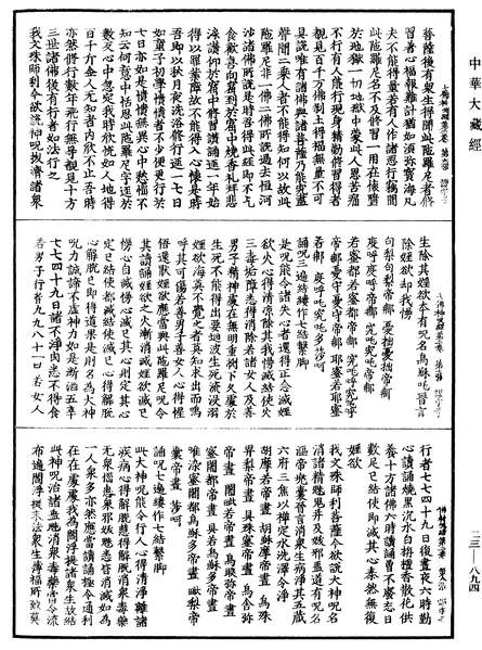 File:《中華大藏經》 第23冊 第894頁.png
