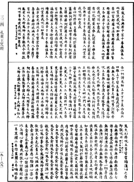 File:《中華大藏經》 第19冊 第891頁.png