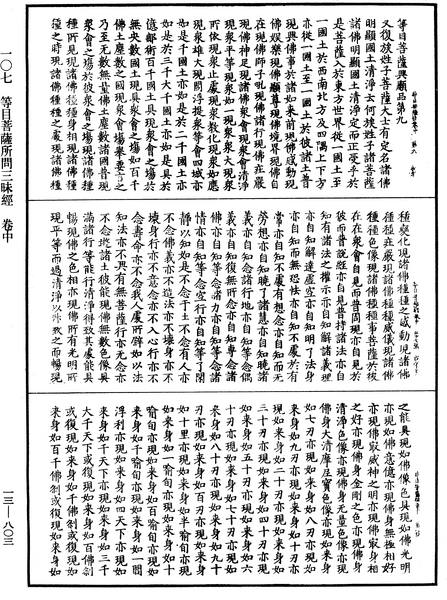 File:《中華大藏經》 第13冊 第803頁.png