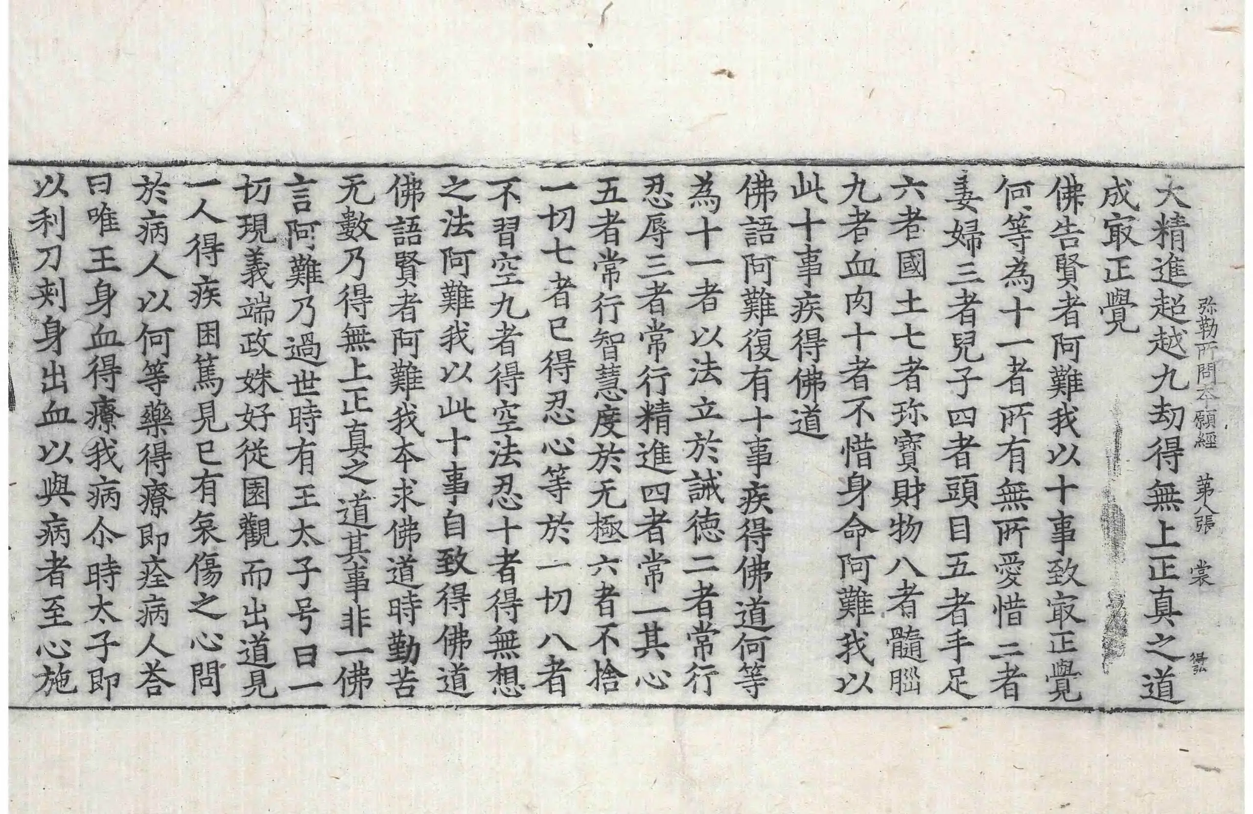 File:高麗藏K0051 彌勒菩薩所問本願經 1卷.djvu
