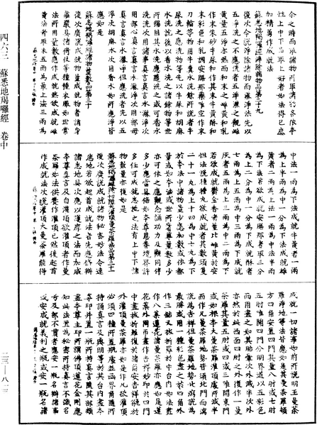 File:《中華大藏經》 第23冊 第813頁.png