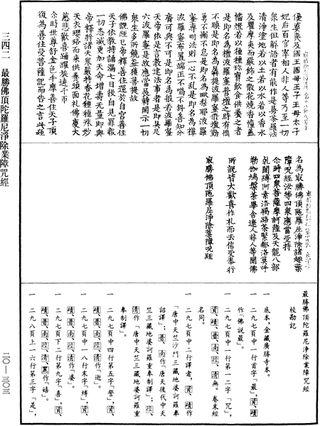 File:《中華大藏經》 第20冊 第0303頁.png
