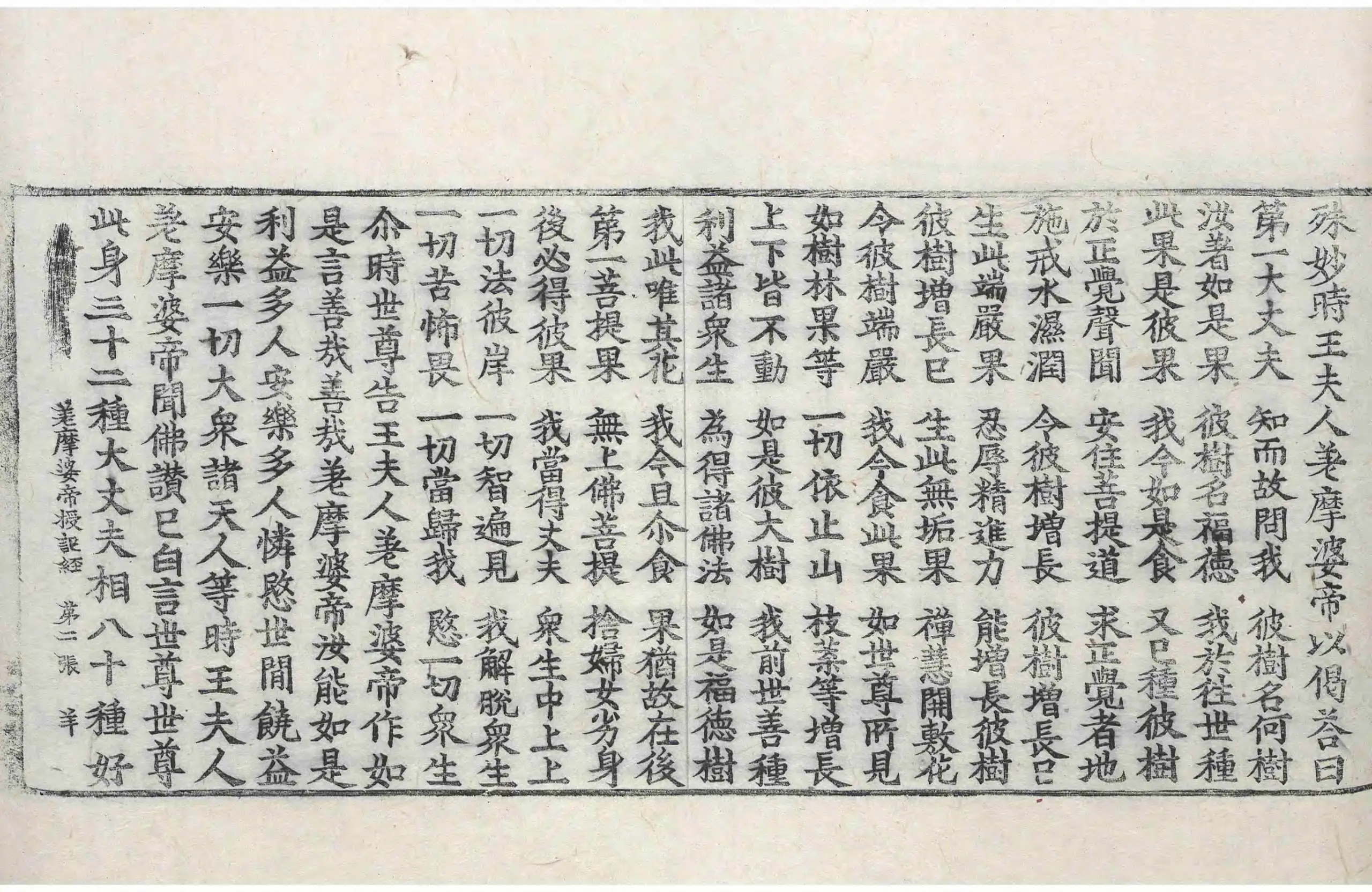 File:高麗藏K0492 差摩婆帝授記經 1卷.djvu