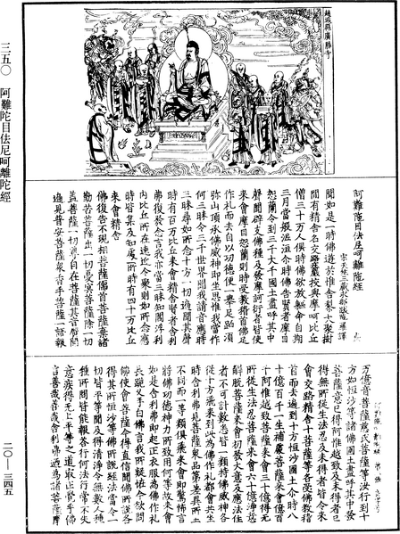 File:《中華大藏經》 第20冊 第0345頁.png