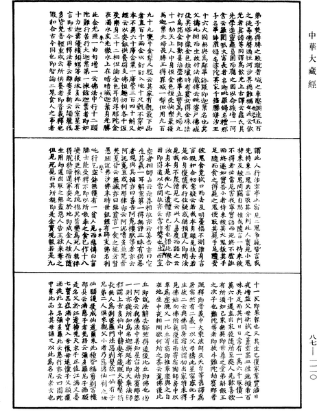 File:《中華大藏經》 第87冊 第1110頁.png
