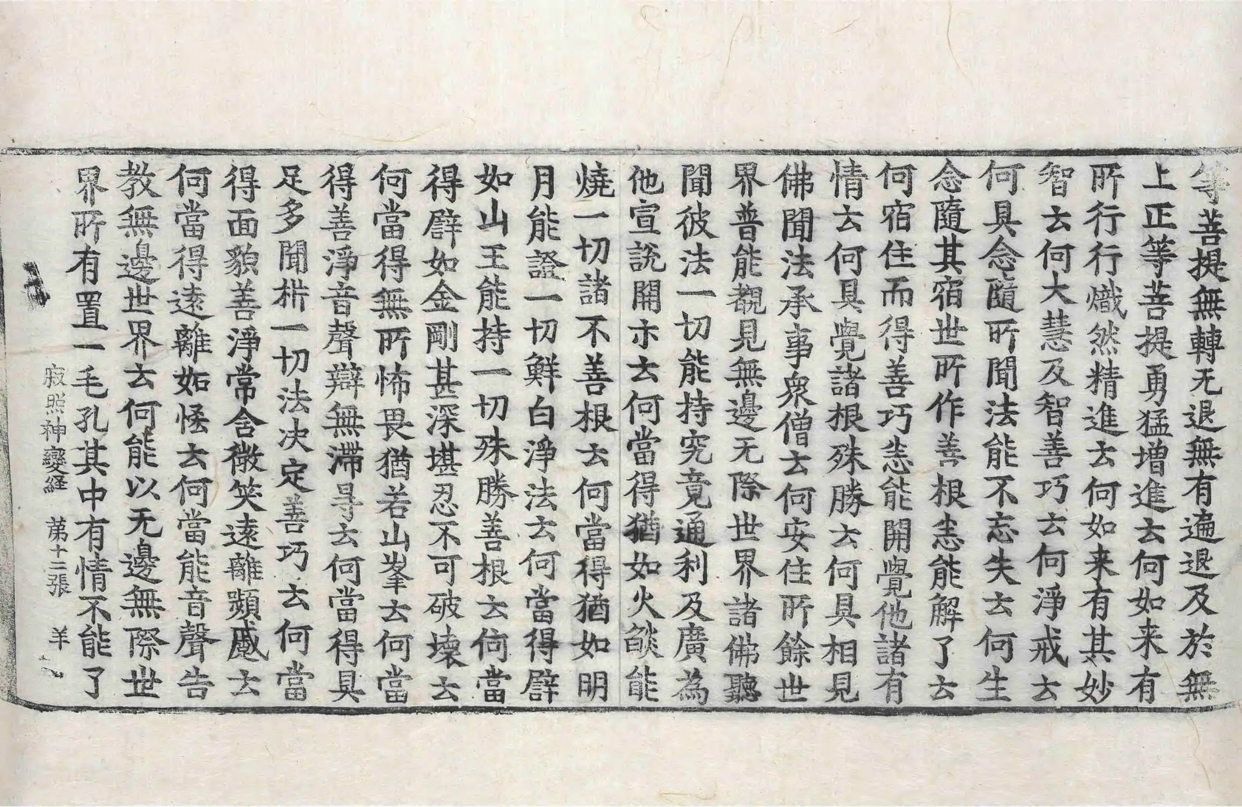 File:高麗藏K0482 寂照神變三摩地經 1卷.djvu