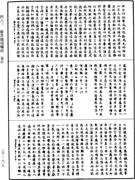 File:《中華大藏經》 第23冊 第807頁.png