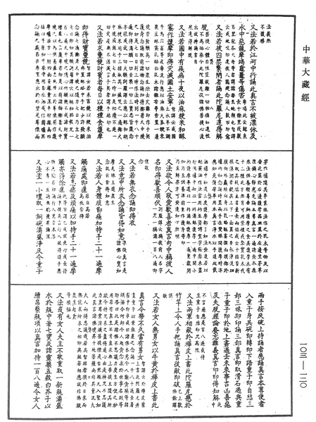 File:《中華大藏經》 第103冊 第120頁.png